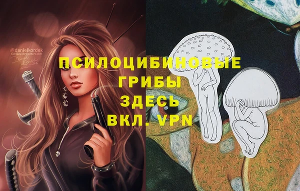 спайс Беломорск