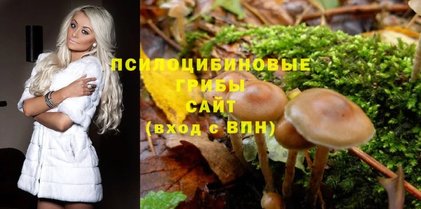 спайс Беломорск