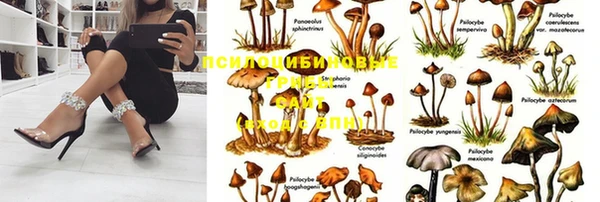 кокаин колумбия Белокуриха