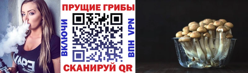 наркота  Тарко-Сале  Псилоцибиновые грибы мицелий 